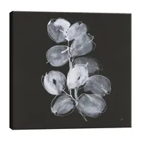 Lumaprints White Eucalyptus I Canvas Art