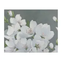 Lumaprints Spring Apple Blossoms Canvas Art