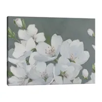 Lumaprints Spring Apple Blossoms Canvas Art