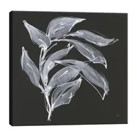 Lumaprints Branch I Canvas Art