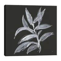 Lumaprints Branch Iv Canvas Art