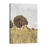 Lumaprints Grass And Sky Light Canvas Art