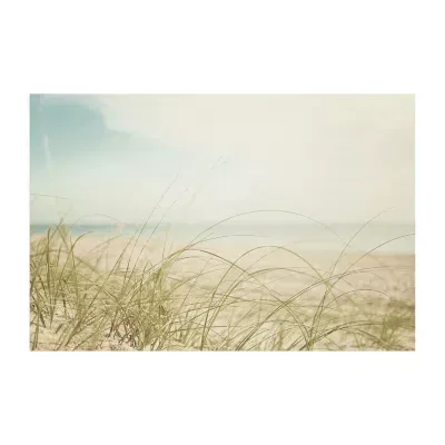 Lumaprints Beach Grass V Light Canvas Art