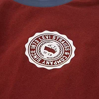 Levi's Big Boys Crew Neck Short Sleeve Graphic T-Shirt