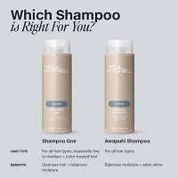 Paul Mitchell Awapuhi Shampoo 10.1 oz.