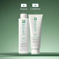 Biolage Scalp Sync Cool Mint Shampoo 13.5 oz.