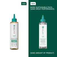 Biolage Scalp Sync Purifying Concentrate Scalp Treatment 6.8 oz.