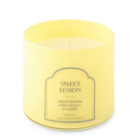 Distant Lands 14oz 3 Wick Sweet Lemon Scented Jar Candle