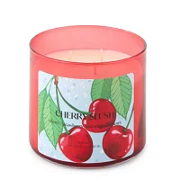 Distant Lands 14oz 3 Wick Cherry Slush Scented Jar Candle