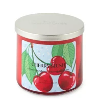 Distant Lands 14oz 3 Wick Cherry Slush Scented Jar Candle