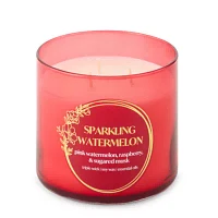 Distant Lands 14oz 3 Wick Sparkling Watermelon Solid Scented Jar Candle