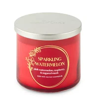 Distant Lands 14oz 3 Wick Sparkling Watermelon Solid Scented Jar Candle