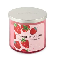 Distant Lands 14oz 3 Wick Strawberry Sundae Scented Jar Candle
