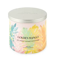 Distant Lands 14oz 3 Wick Golden Mango Scented Jar Candle