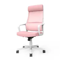 Contemporary Mesh Adjustable Height Office Chair