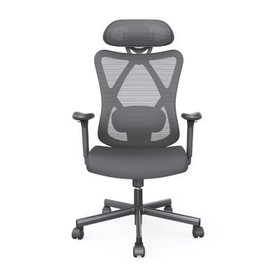 Office + Library Collection Adjustable Height Chair