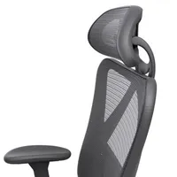 Office + Library Collection Adjustable Height Chair