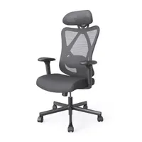 Office + Library Collection Adjustable Height Chair