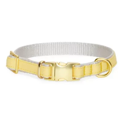 Paw & Tail Dog Collar