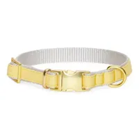 Paw & Tail Dog Pet Collars