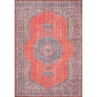 Momeni Afshar 12 Rectangular Rugs & Floor Coverings Indoor Medallion Accent Rugs