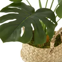 Distant Lands 21" Monstera Artificial Plant