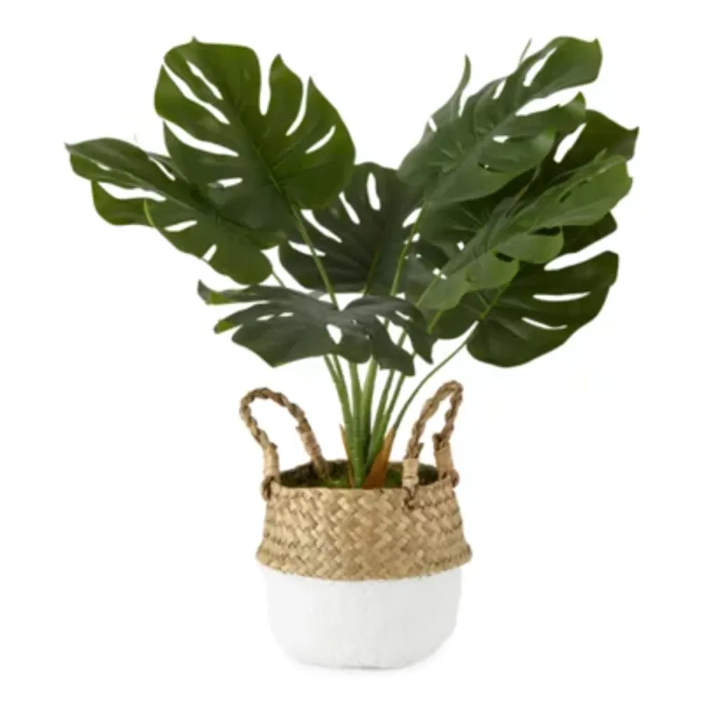 Distant Lands 21" Monstera Artificial Plant