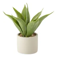 Distant Lands 13" Agave Artificial Plant