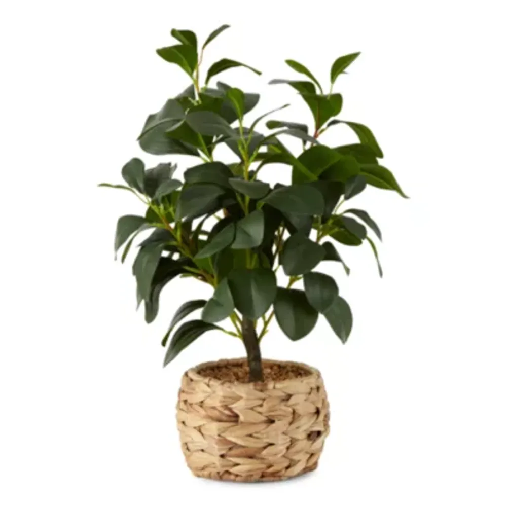 Linden Street 21" Water Hyacinth Artificial Plant