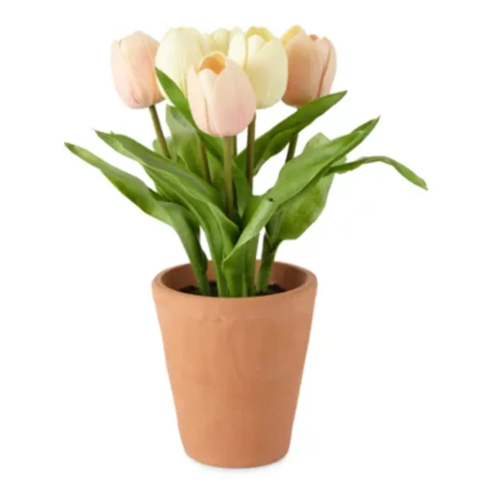 Linden Street 13" Tulip Floral Arrangement