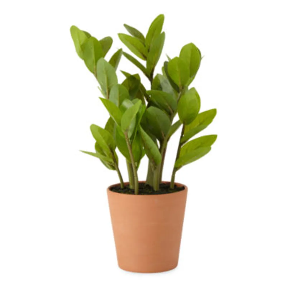 Linden Street 16" Zz Artificial Plant