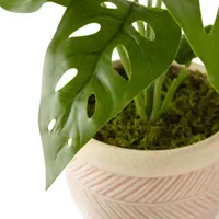 Distant Lands 11" Monstera Artificial Plant