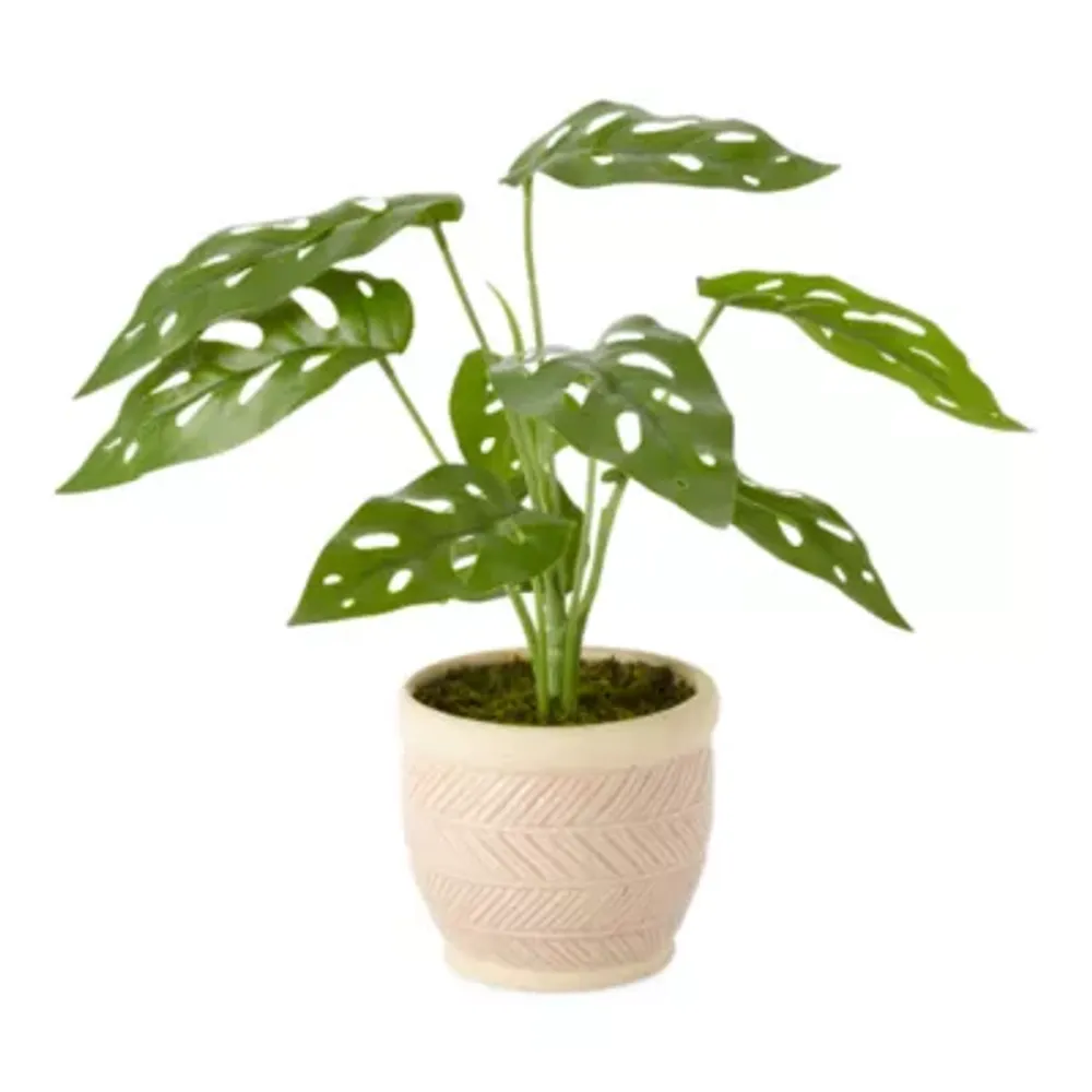 Distant Lands 11" Monstera Artificial Plant