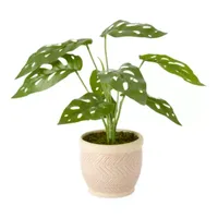 Distant Lands 11" Monstera Artificial Plant