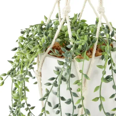 Distant Lands Hanging String Of Pearls Artificial Plant