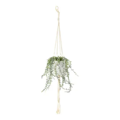 Distant Lands Hanging String Of Pearls Artificial Plant
