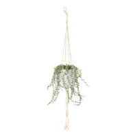 Distant Lands Hanging String Of Pearls Artificial Plant