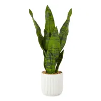 Linden Street 21" Snake Artificial Plant