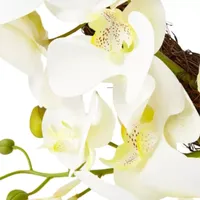 Linden Street 24" White Orchid Wreath