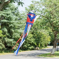 Glitzhome Eagle Windsocks 4th of July Yard Art