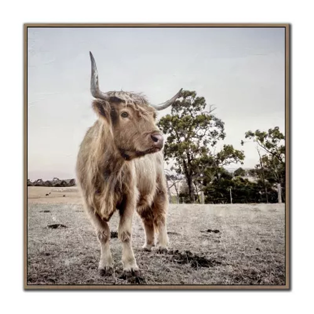 Streamline Art Countryside Highland Framed Canvas Art