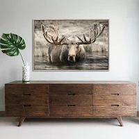 Streamline Art Moose Hot Springs Framed Canvas Art