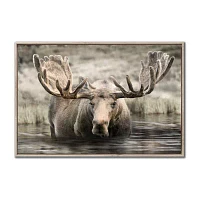 Streamline Art Moose Hot Springs Framed Canvas Art
