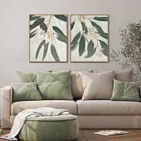 Streamline Art Eucalyptus Blossoms Ii Framed Canvas Art