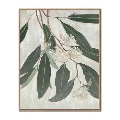 Streamline Art Eucalyptus Blossoms Ii Framed Canvas Art