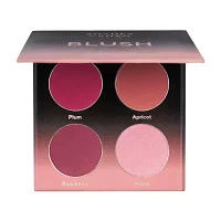 Shades By Shan The Blush Palette