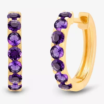 Genuine Purple Amethyst 14K Gold Over Silver 14.7mm Round Hoop Earrings