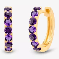 Genuine Purple Amethyst 14K Gold Over Silver 14.7mm Round Hoop Earrings