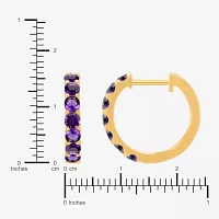 Genuine Purple Amethyst 14K Gold Over Silver 14.7mm Round Hoop Earrings