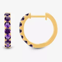 Genuine Purple Amethyst 14K Gold Over Silver 14.7mm Round Hoop Earrings